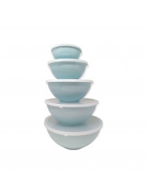 Set x5 bowls c/tapa (26-23-19.5-16-12cm apr) - COLORES