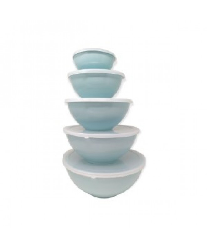 Set x5 bowls c/tapa (26-23-19.5-16-12cm apr) - COLORES