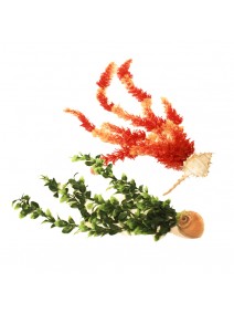 Planta marino p/pecera med c/base caracol